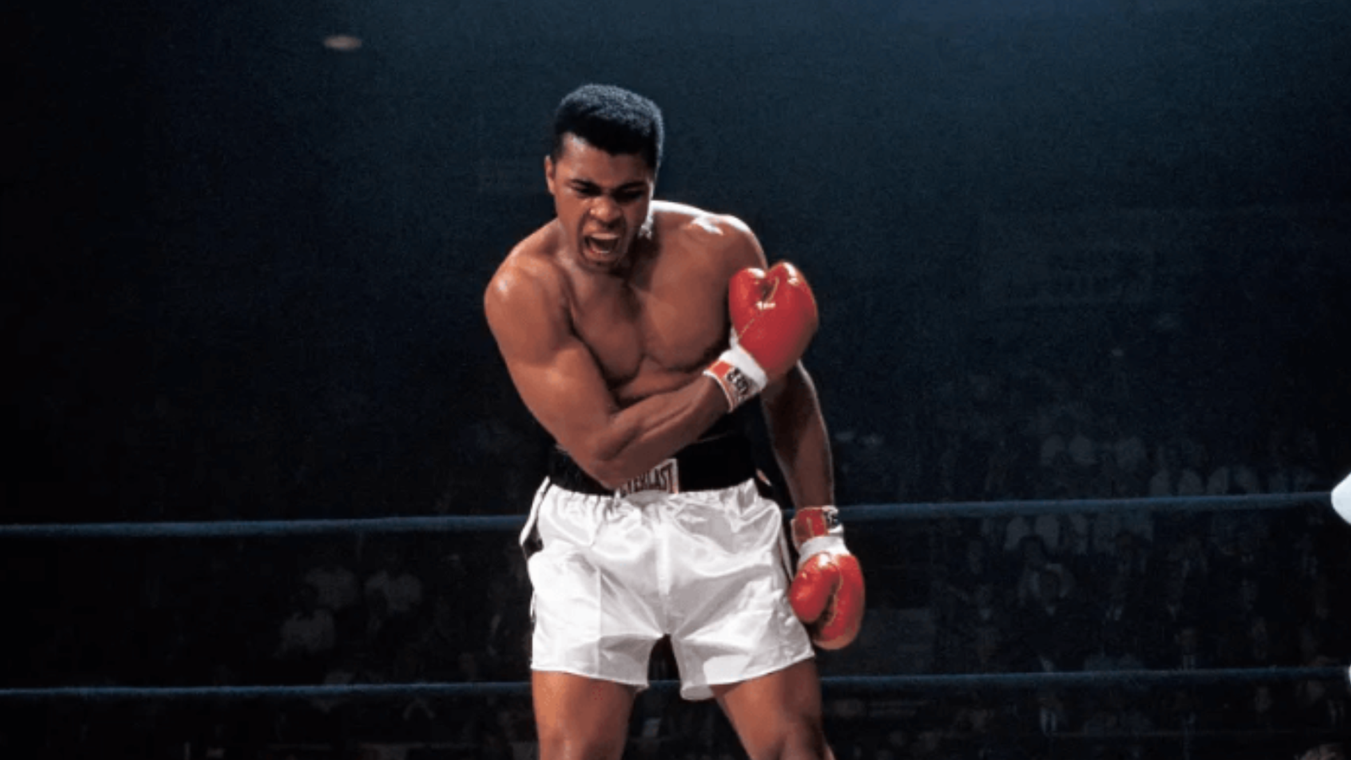 wethenew-muhammed-ali-liston-knockout