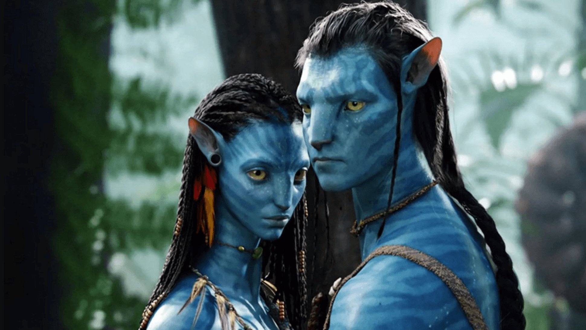 wethenew-avatar-2