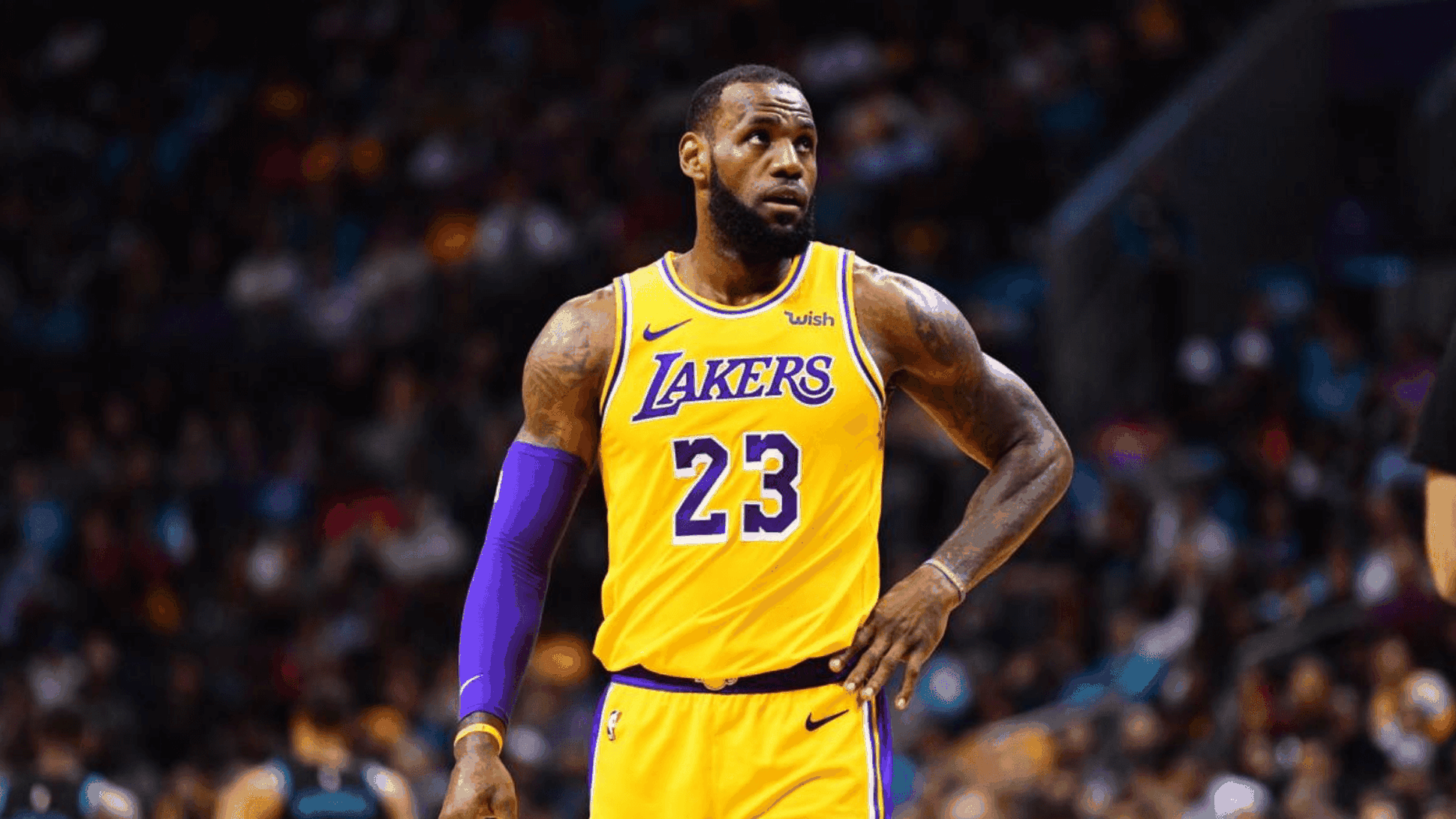 wethenew-lakers-playoffs-lebron-james-elimination