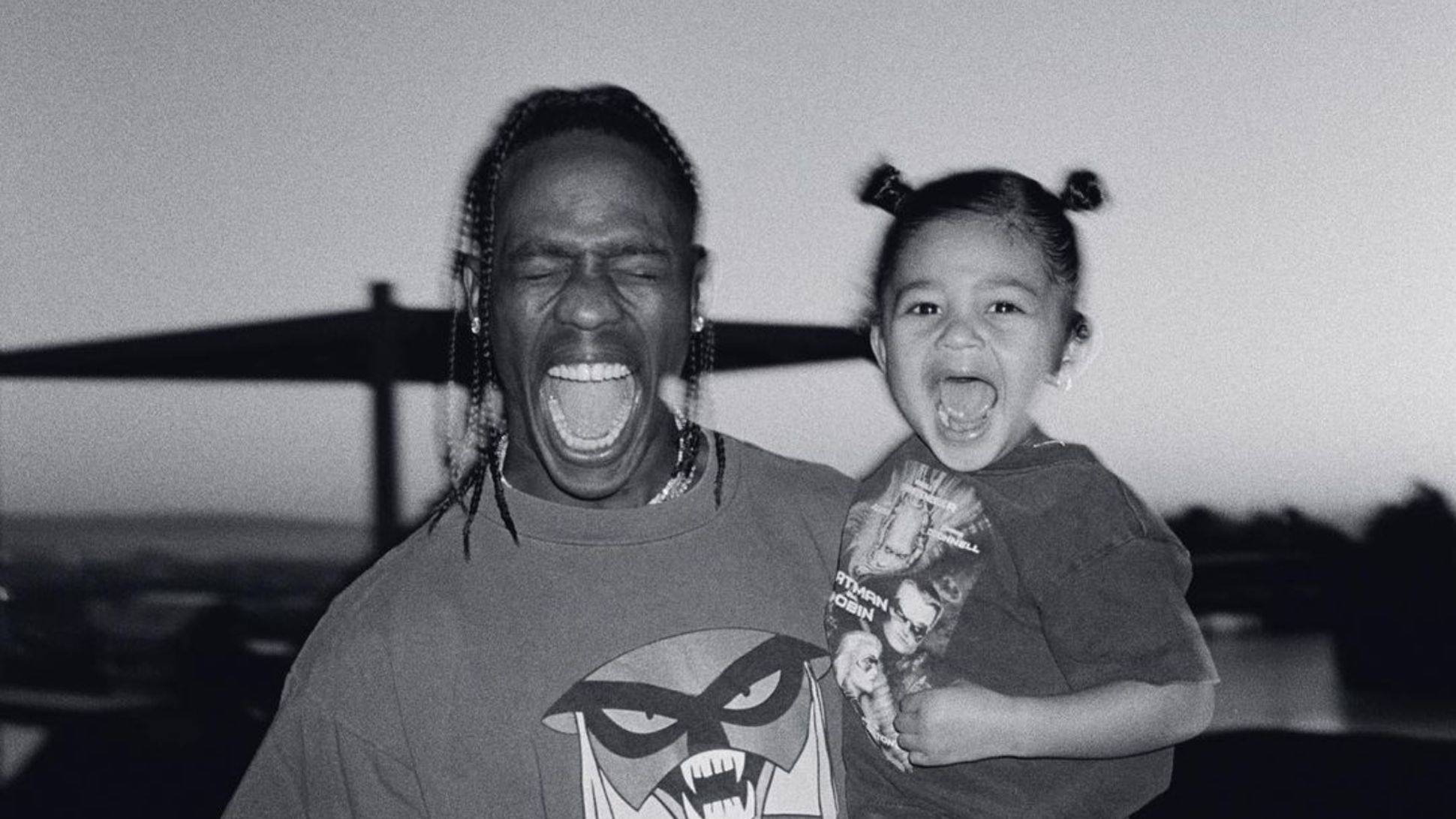 travis scott stormi