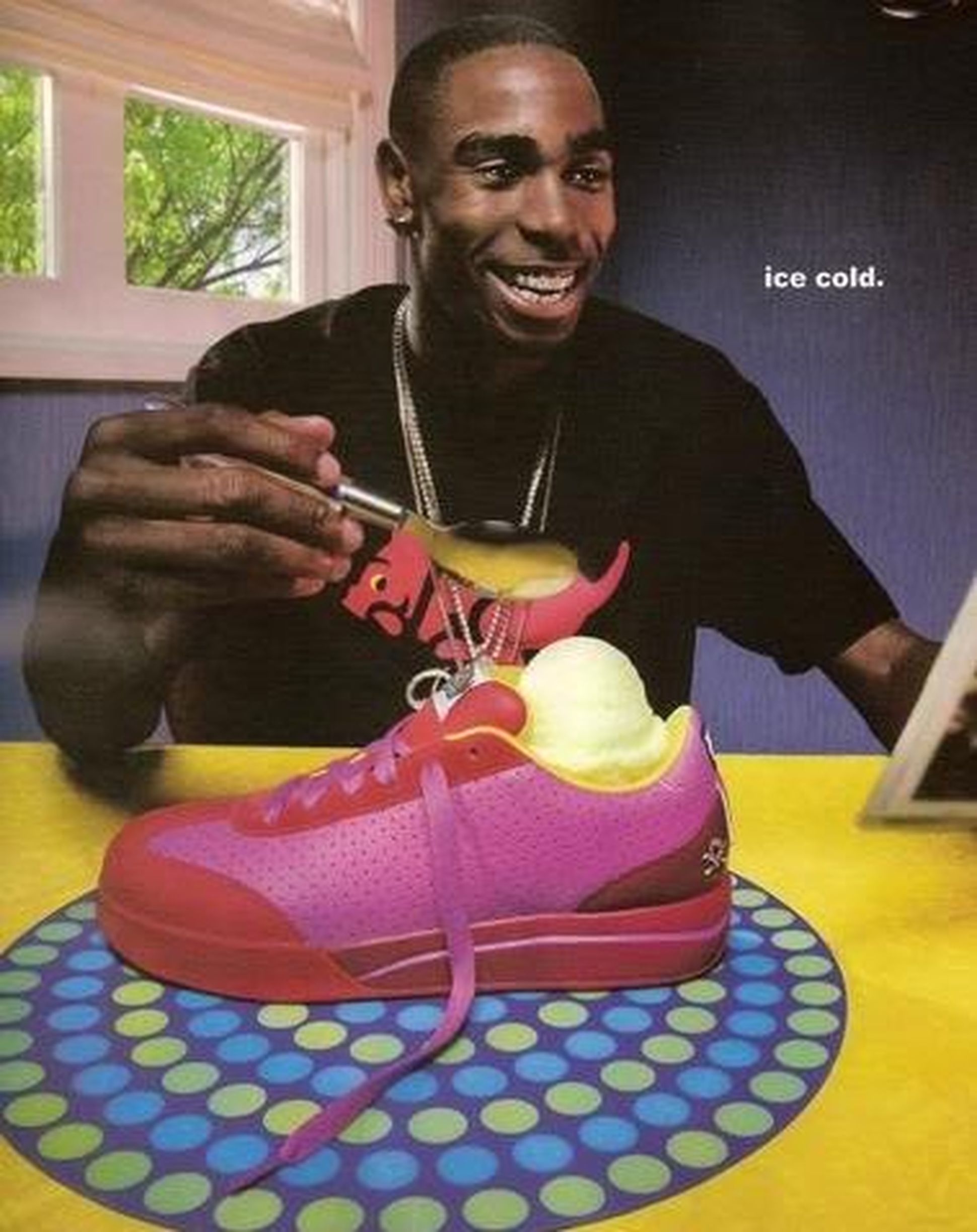 Reebok-bbc-icecream-boardflip-wethenew