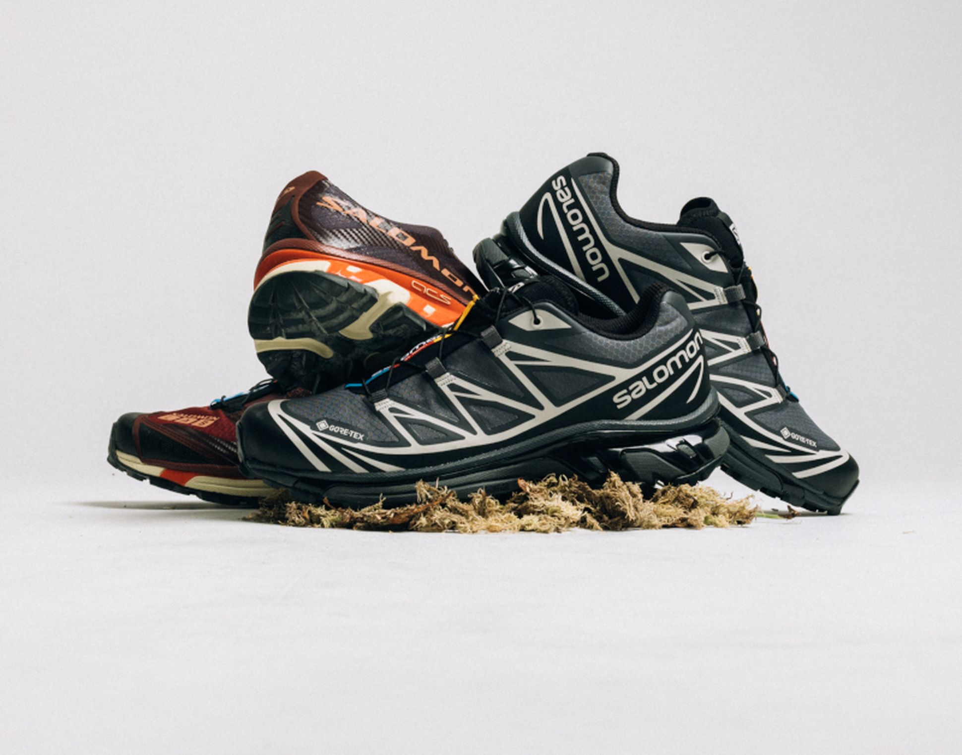 Salomon