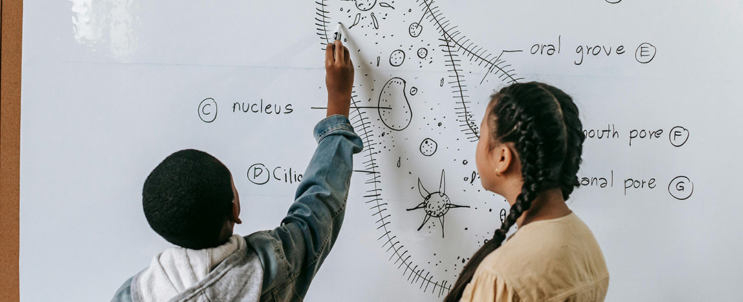 Students drawing a scientific diagram on a whiteboard together, showing collaborative learning, active participation, and classroom engagement