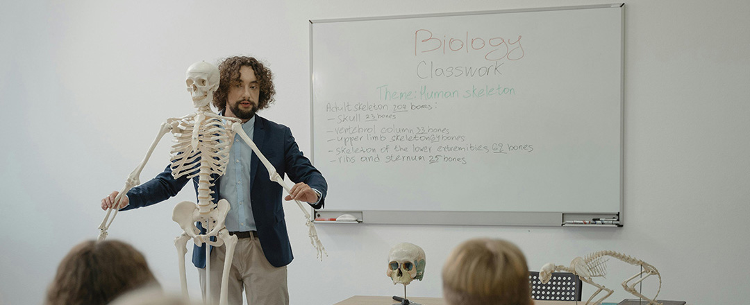 Science teacher presenting a human skeleton model in a biology classroom, showing hands-on learning and active student engagement in education