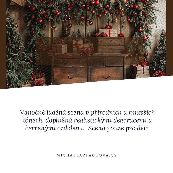 Vánoční mini focení Praha