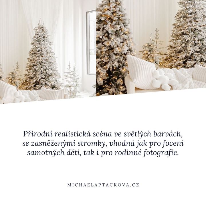 Vánoční mini focení Praha