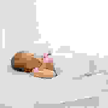 Newborn focení Praha