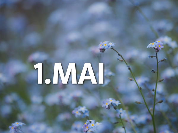 Wir sind für euch da