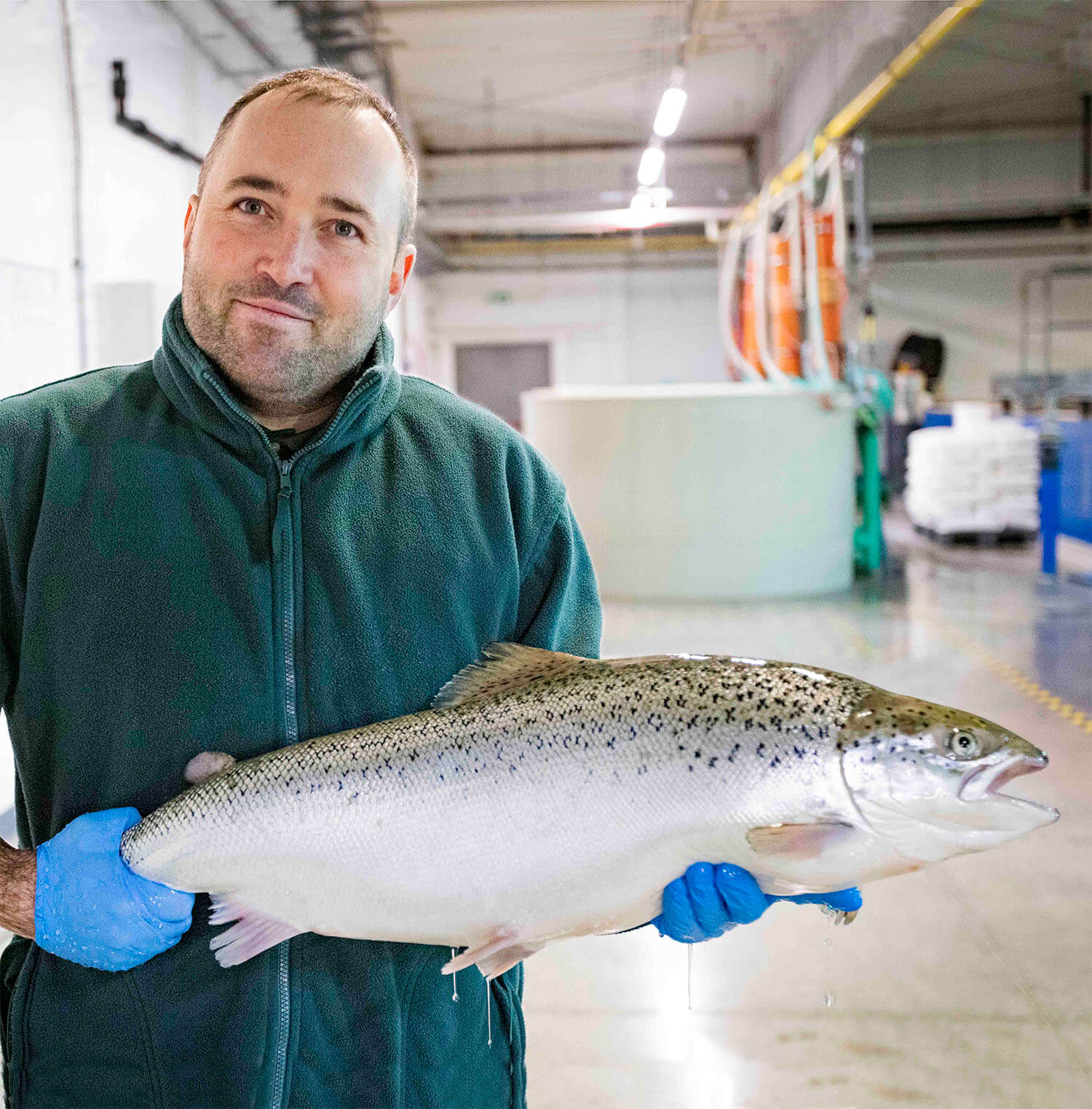 Lachs Amp Quot Riga Amp Quot - Rezepte Suchen