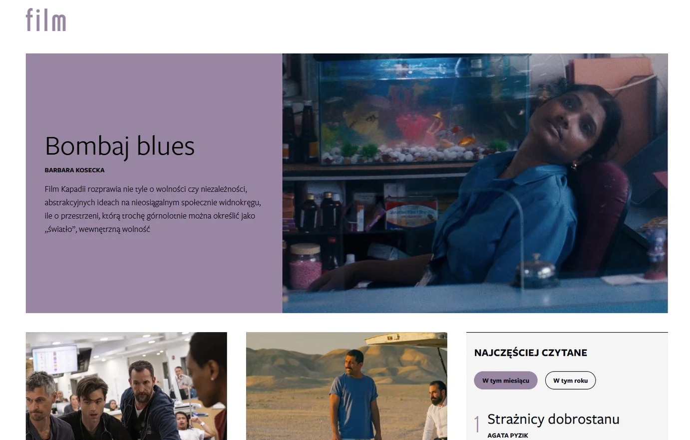 Dwutygodnik website application