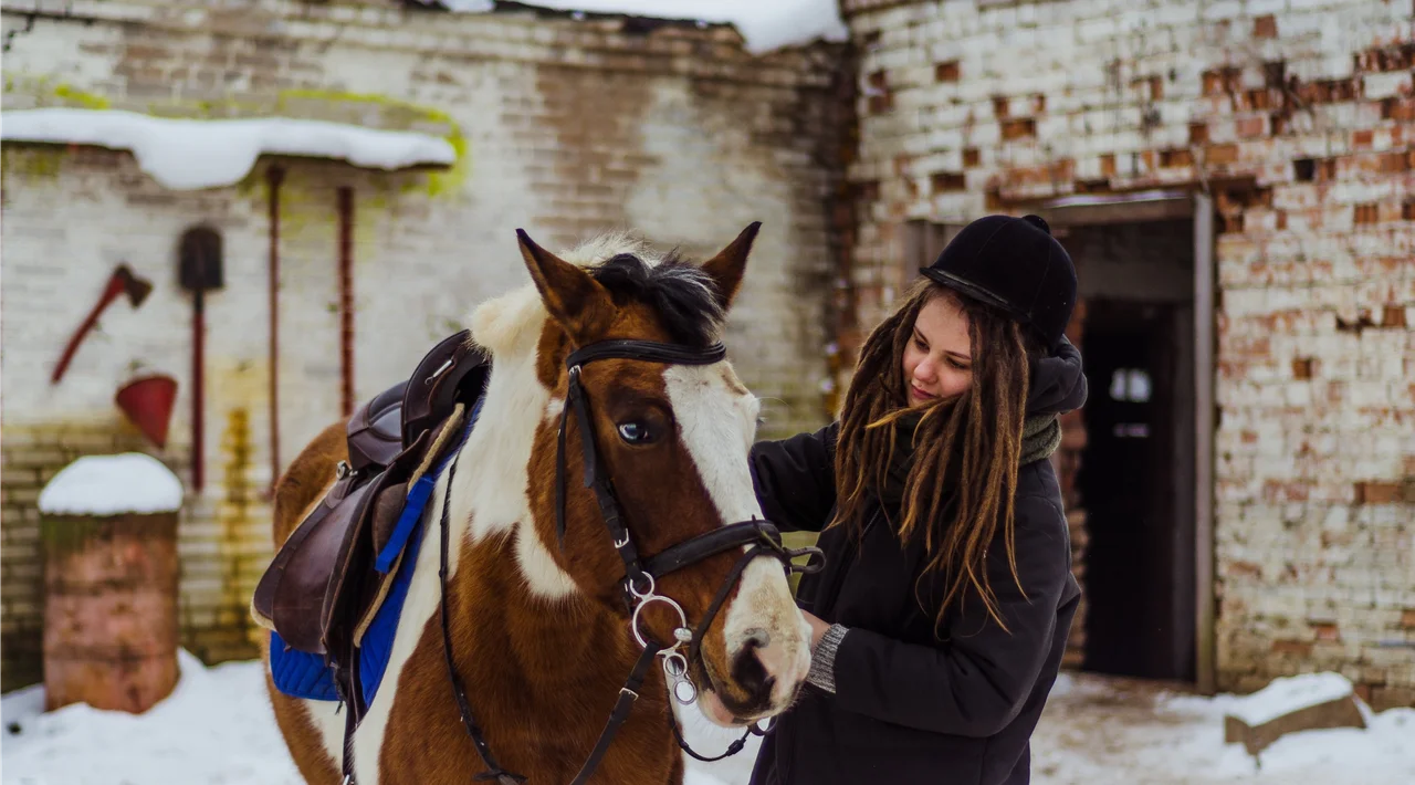 Equinet farrier application