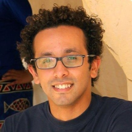 amr hussein