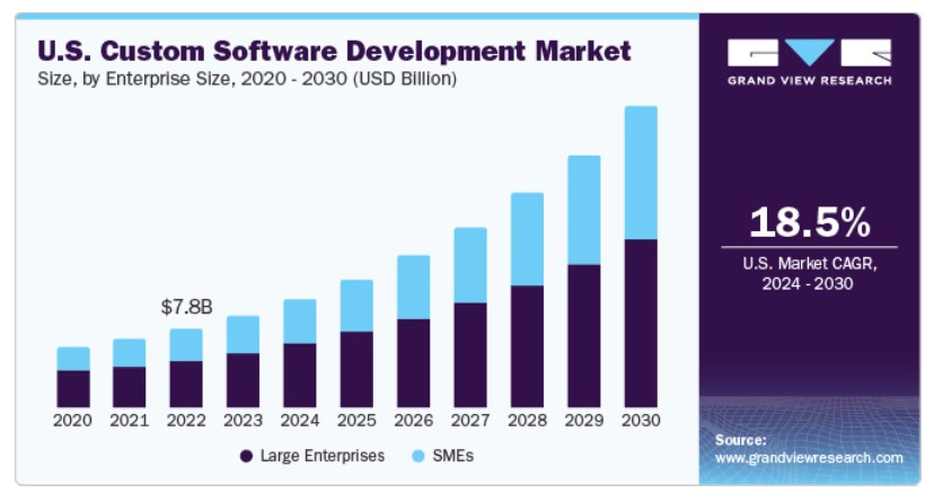 custom web app software development market