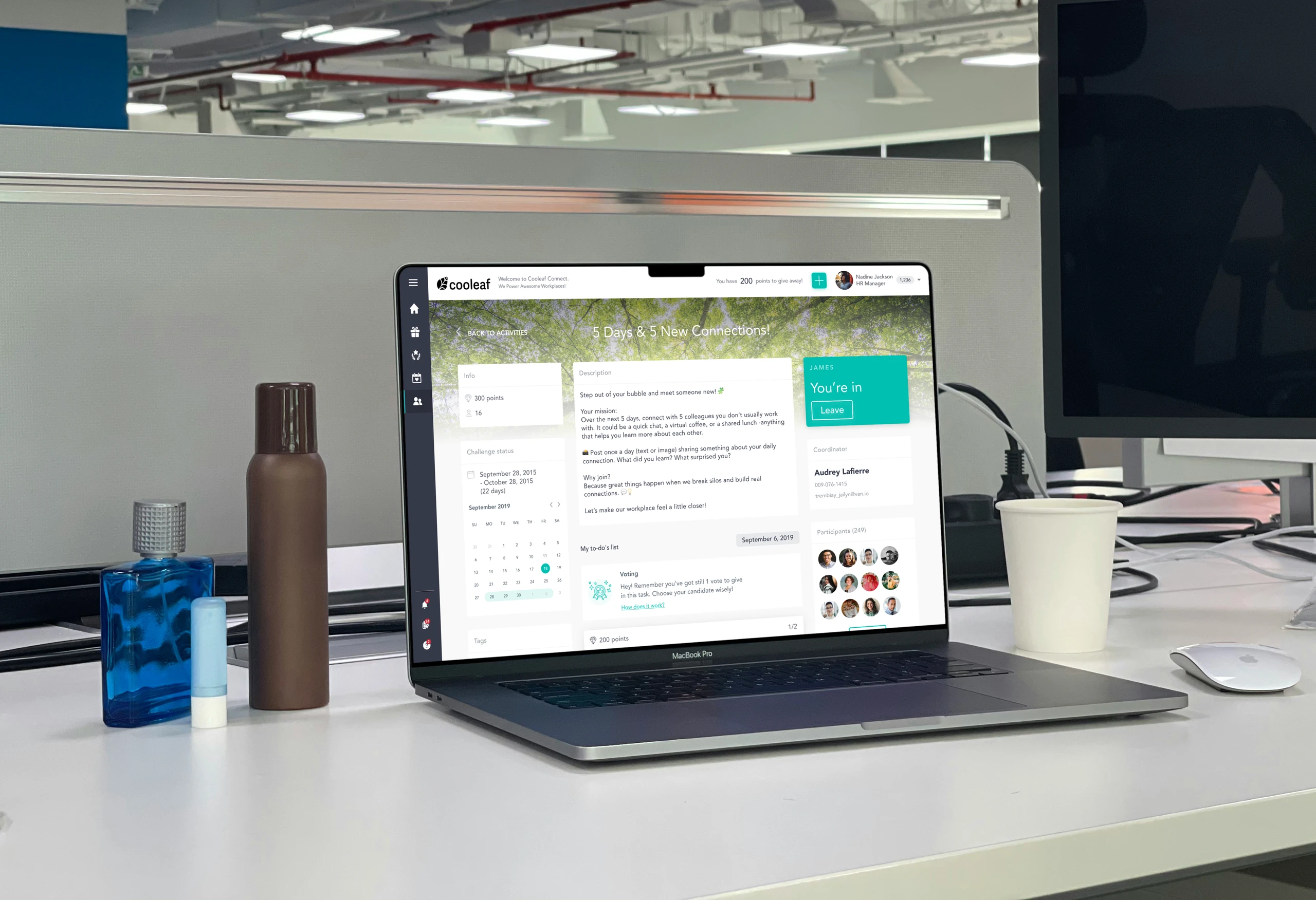 Cooleaf application screenshots
