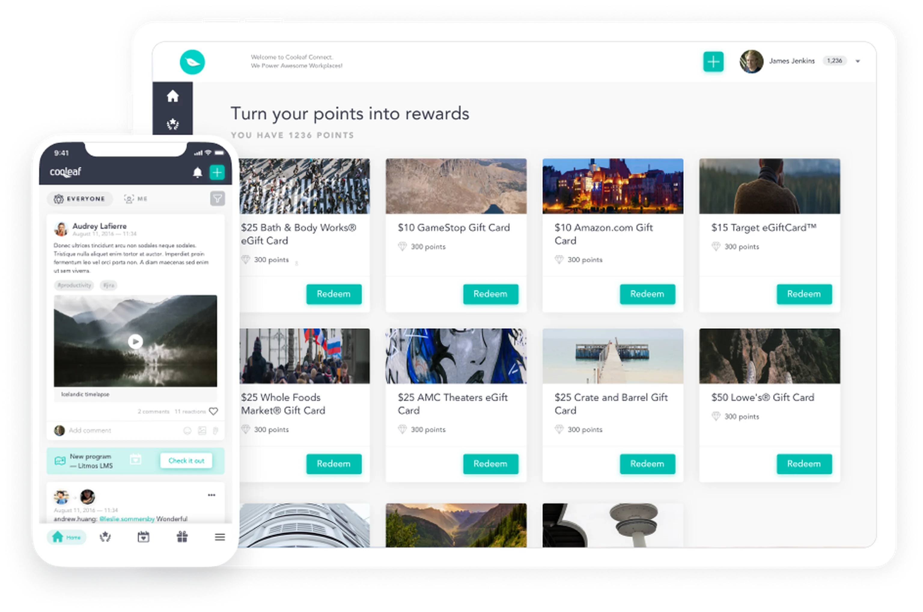 cooleaf case study example of custom web app