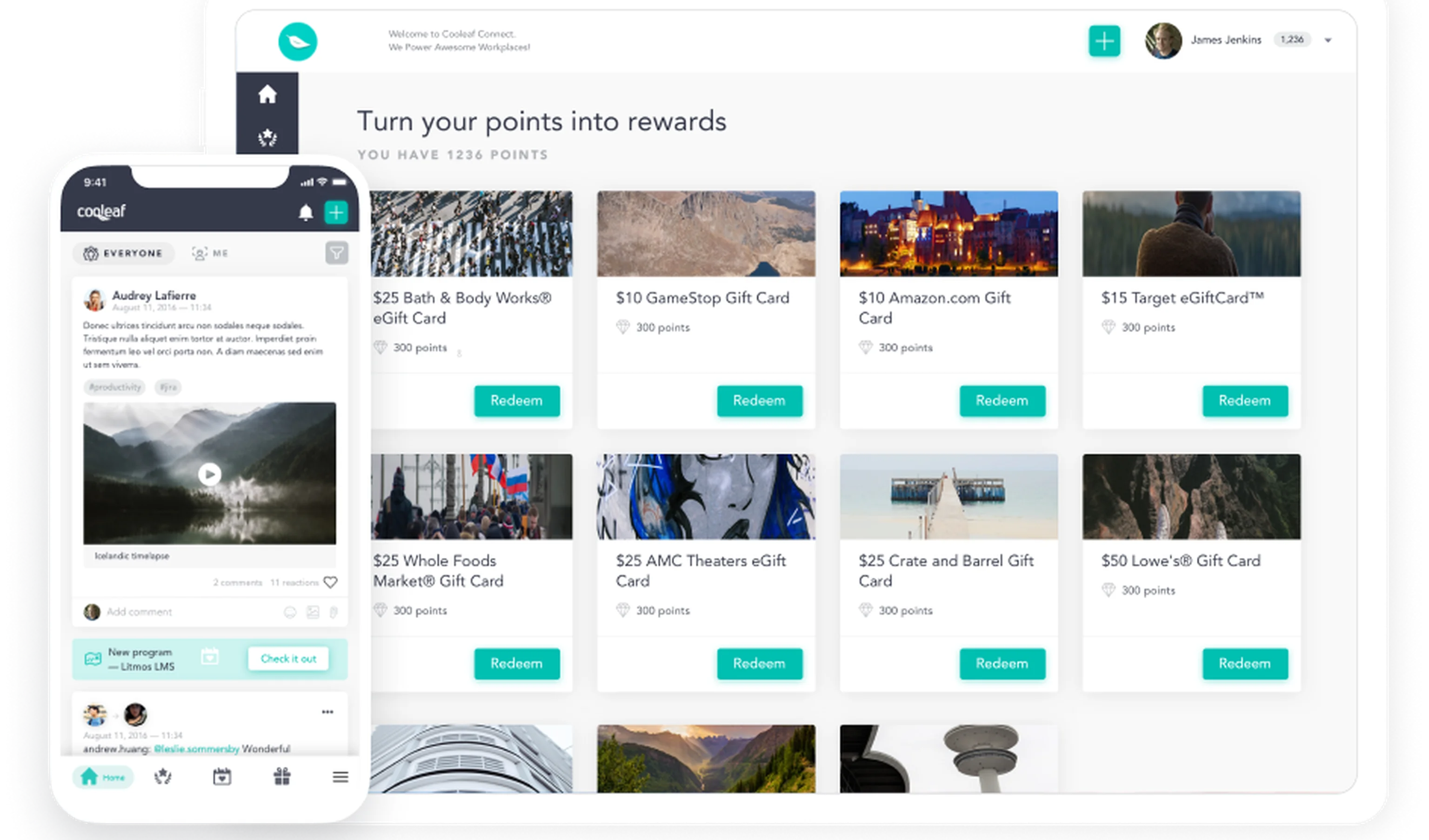 Cooleaf application view Flutter app development
