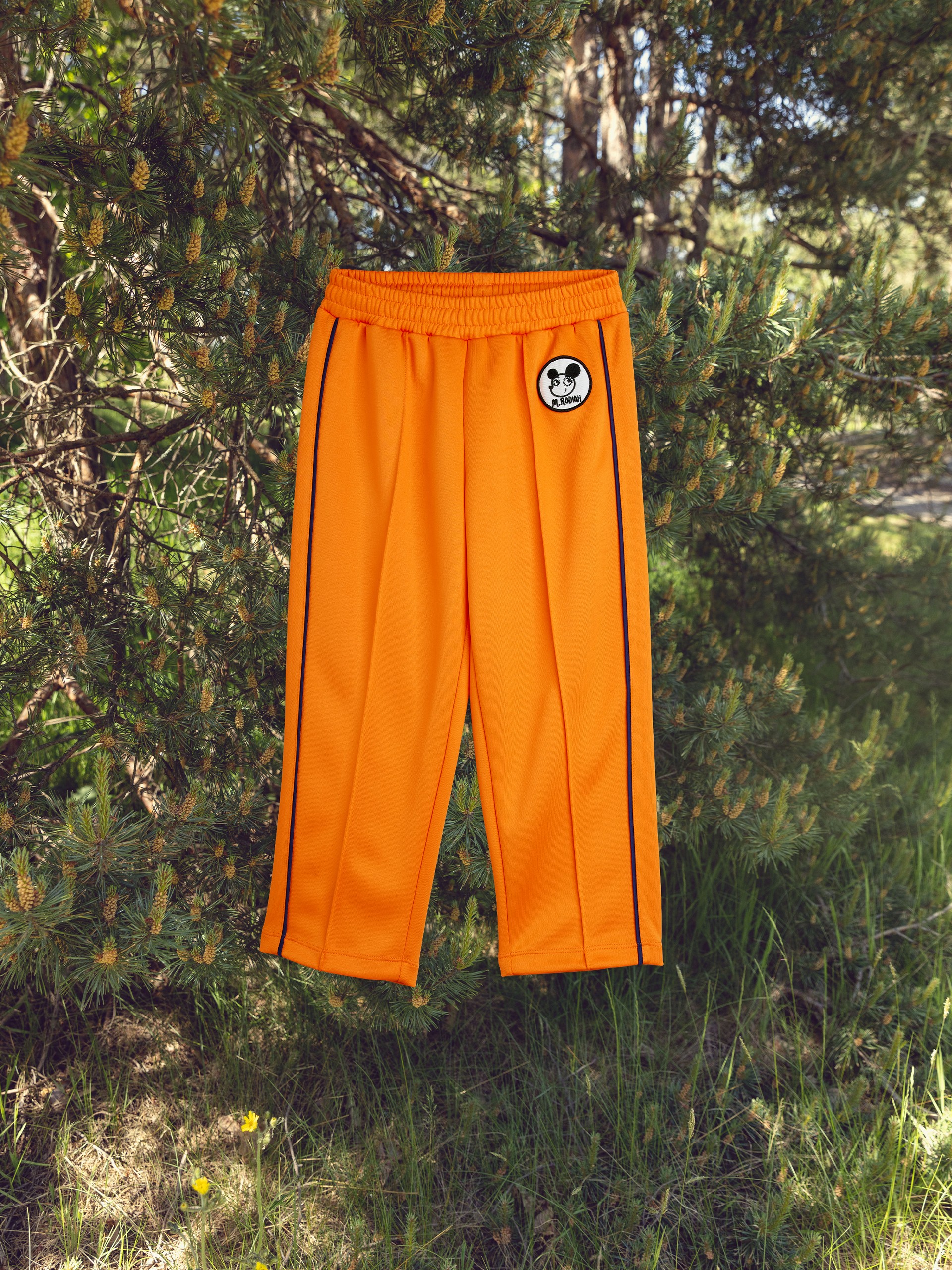 Orange track pants with black stripes and a round logo, hanging on a pine tree branch in a sunny forest with grass and shrubs.