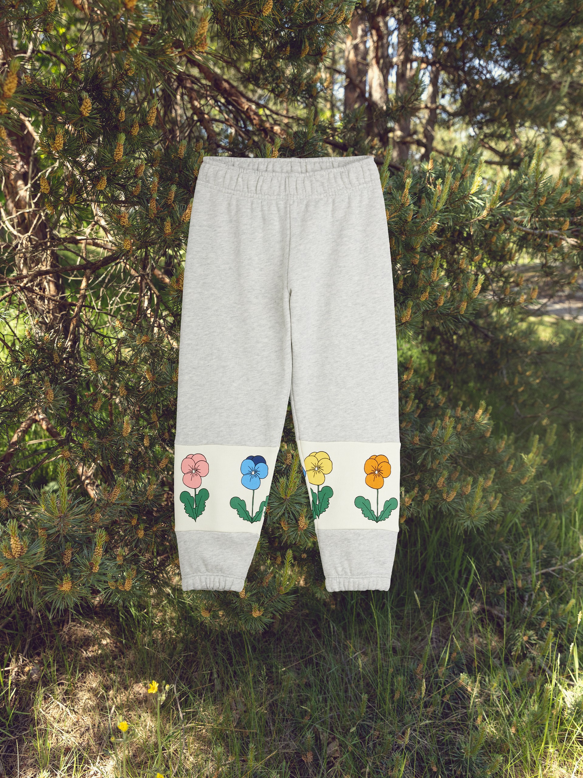 Gray sweatpants hanging on a tree branch, featuring colorful flower designs near the cuffs, in a forest setting.