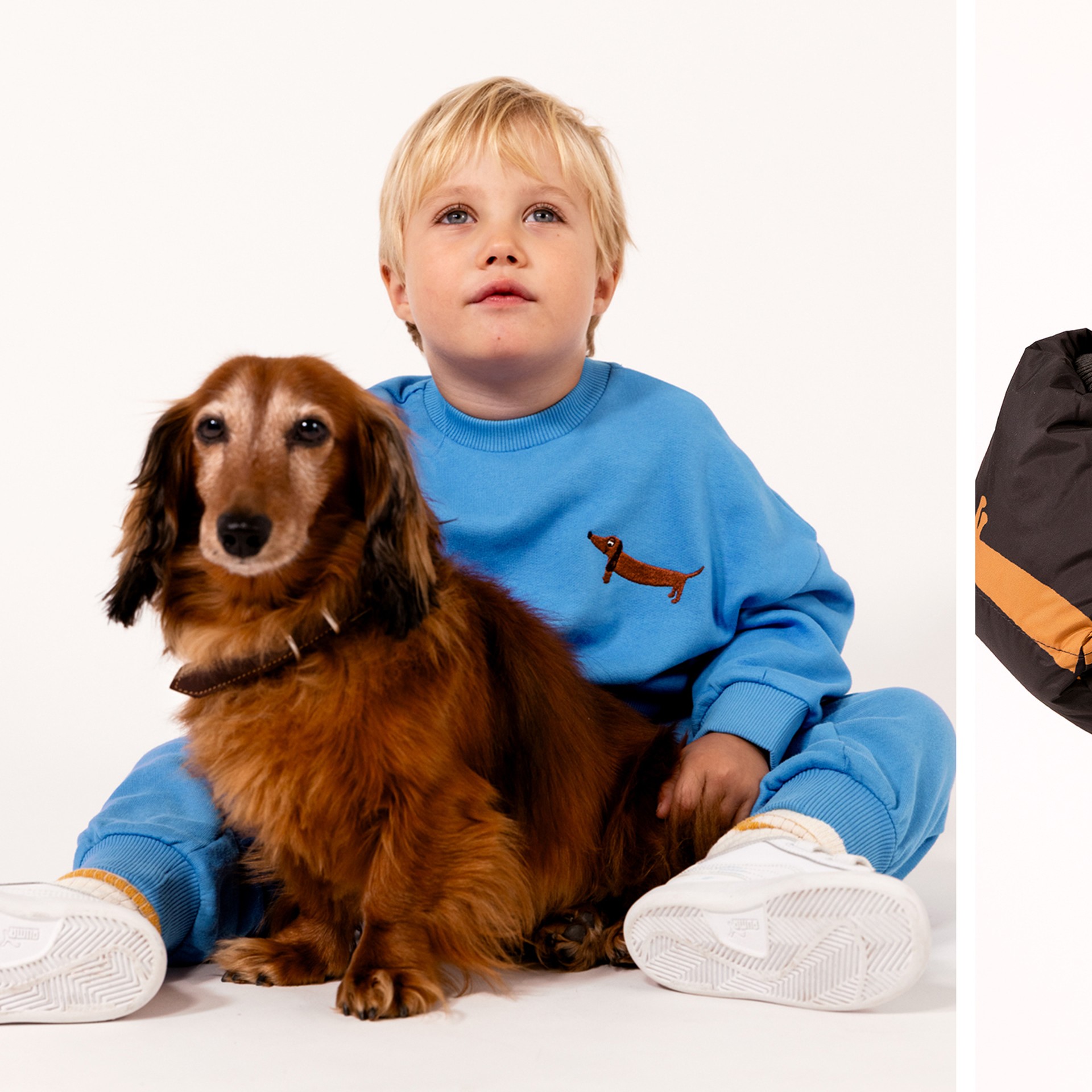 A young child wearing a dachshund-patterned outfit stands with hands on head, next to a brown dachshund dog on a white background.