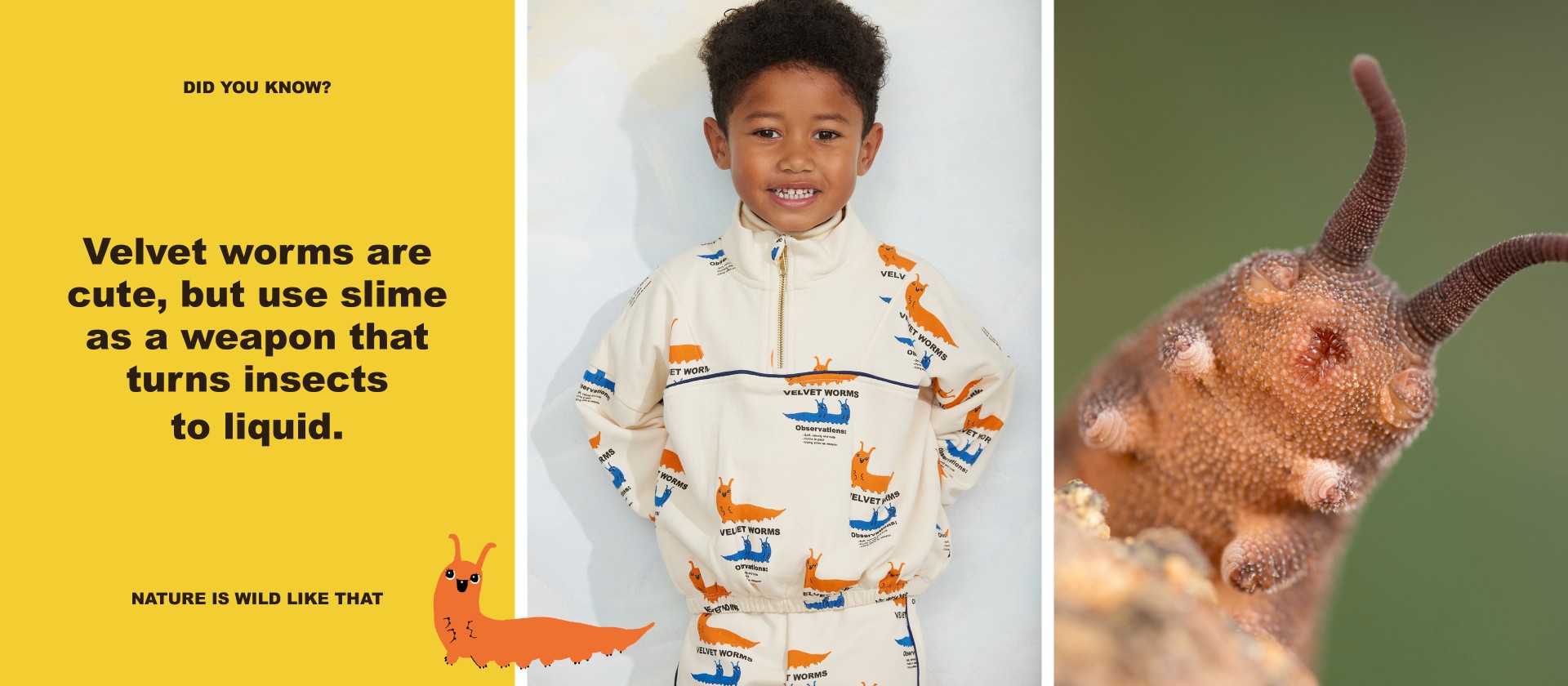Two children wearing velvet worm sweaters sit on logs. Below, a close-up of a velvet worm and a fact about their slime weapon.