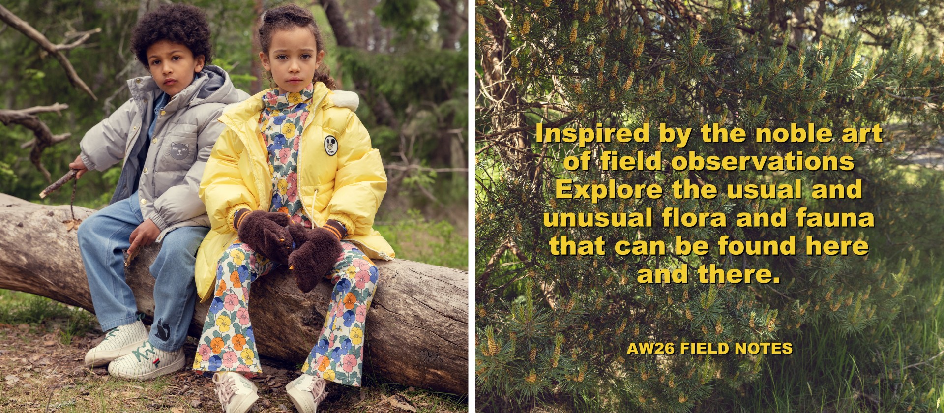 Text on an image of dense green foliage: "Inspired by the noble art of field observations. Explore usual and unusual flora and fauna. AW26 Field Notes."