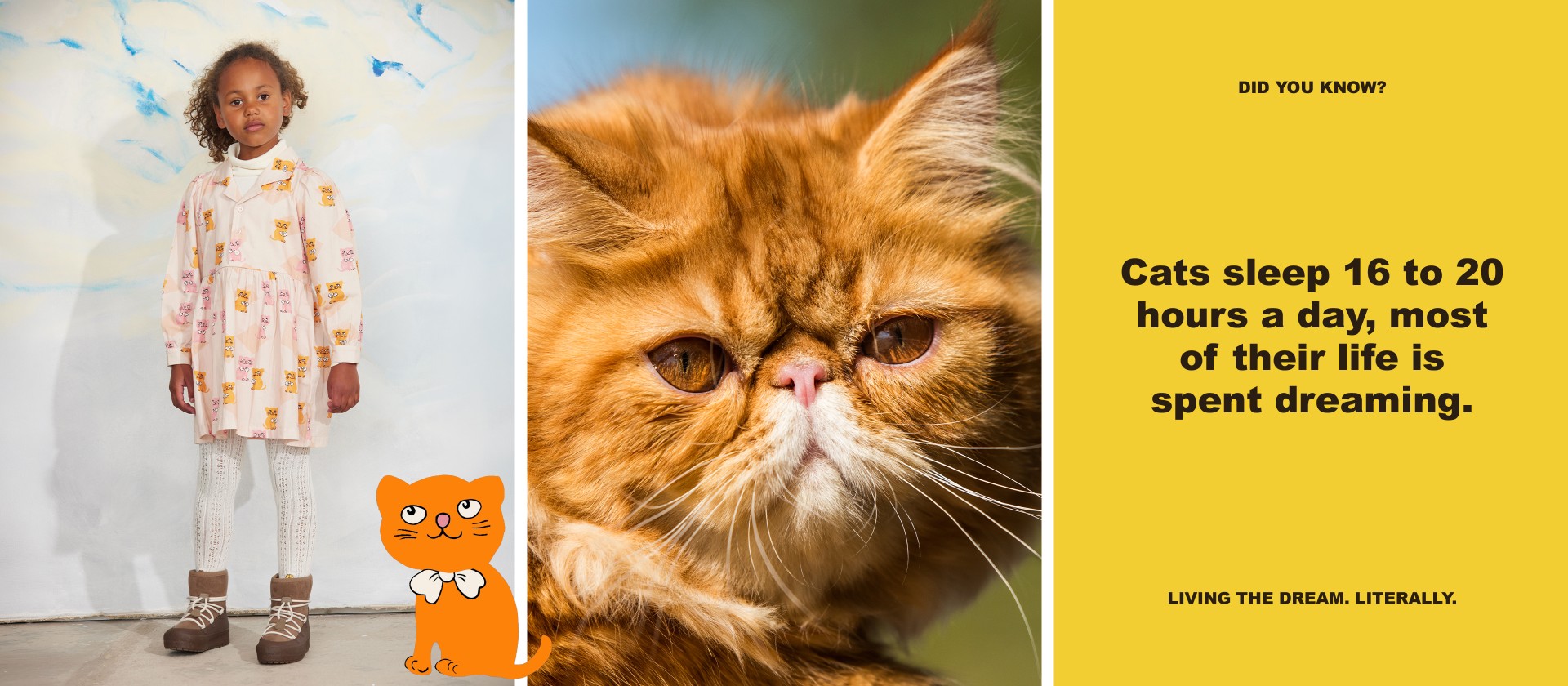 Close-up of a ginger Persian cat. A girl in a cat-print dress stands next to text about cats sleeping 16 to 20 hours daily, with cartoon cat and facts.