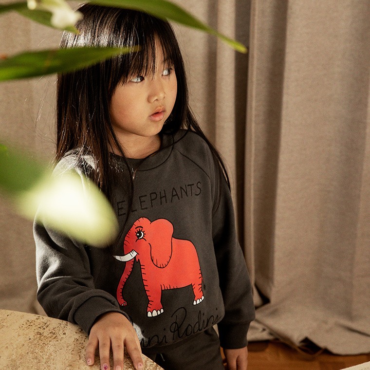 4-Elephants Charity Collection