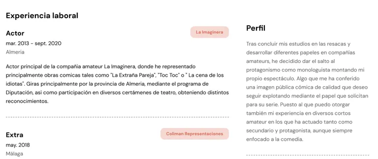 perfil artístico ejemplo
