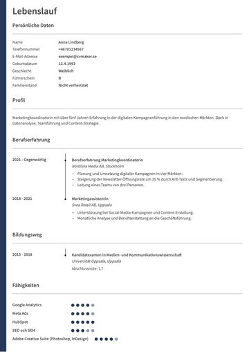 Tyskt CV-exempel