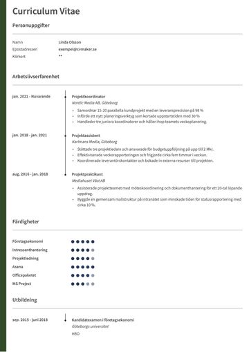 Kronologiskt CV-exempel