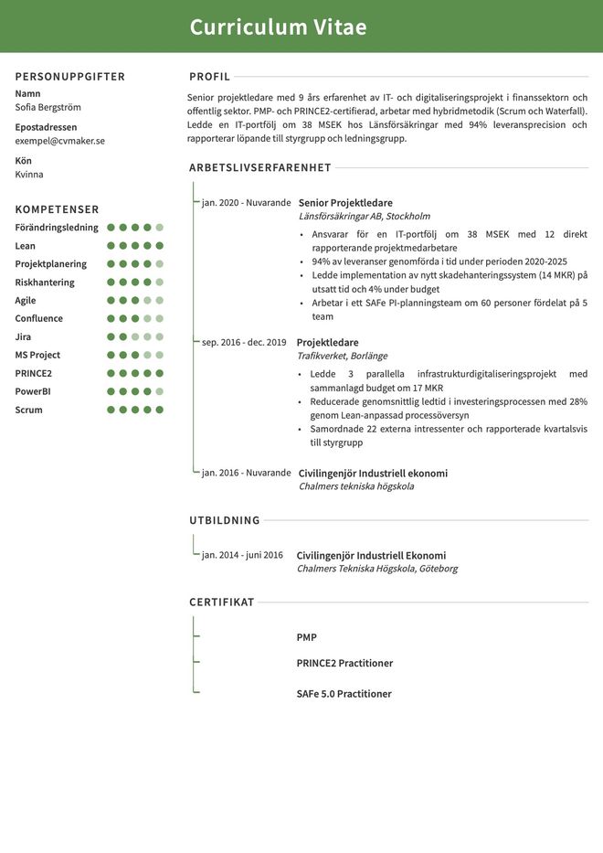 Exempel på CV