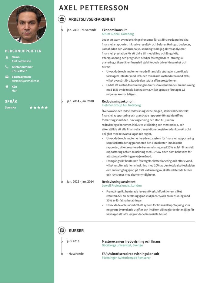 Revisor CV-exempel