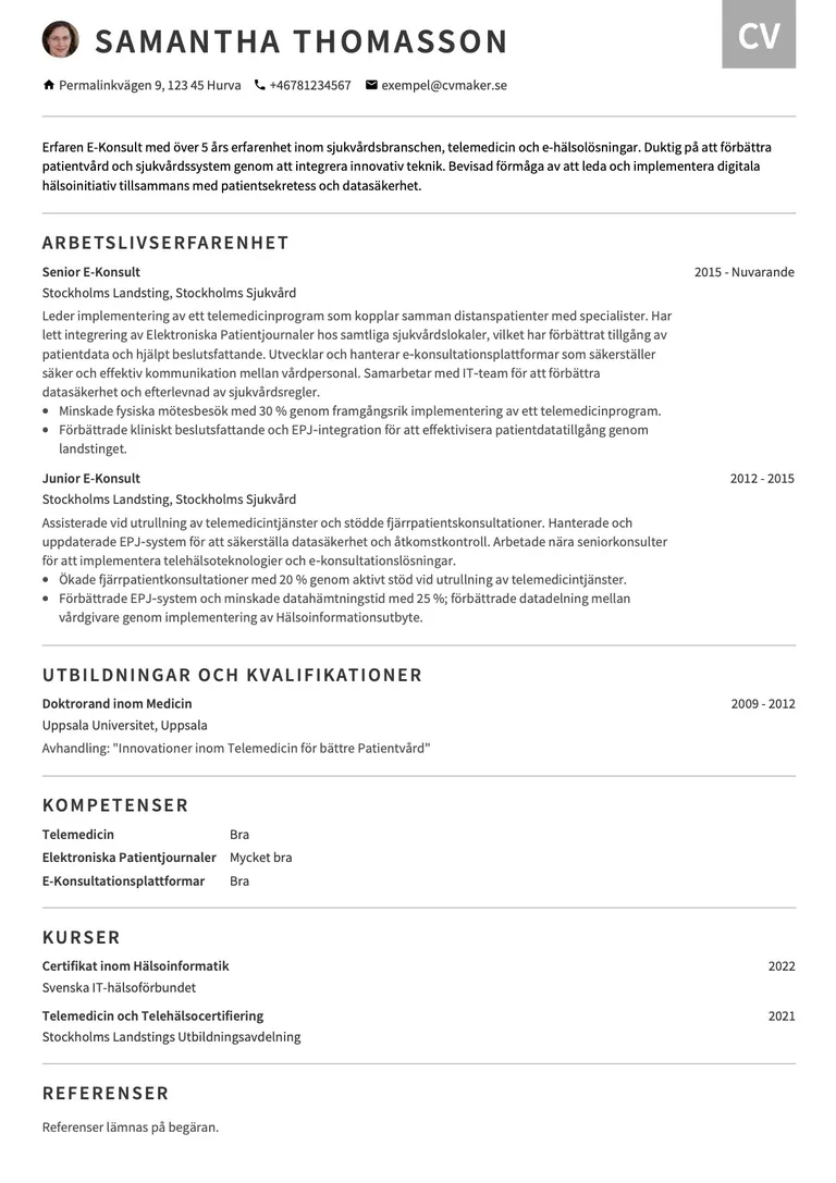 Konsult-CV Exempel