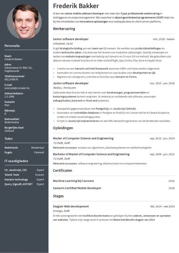 Holland önéletrajz minta