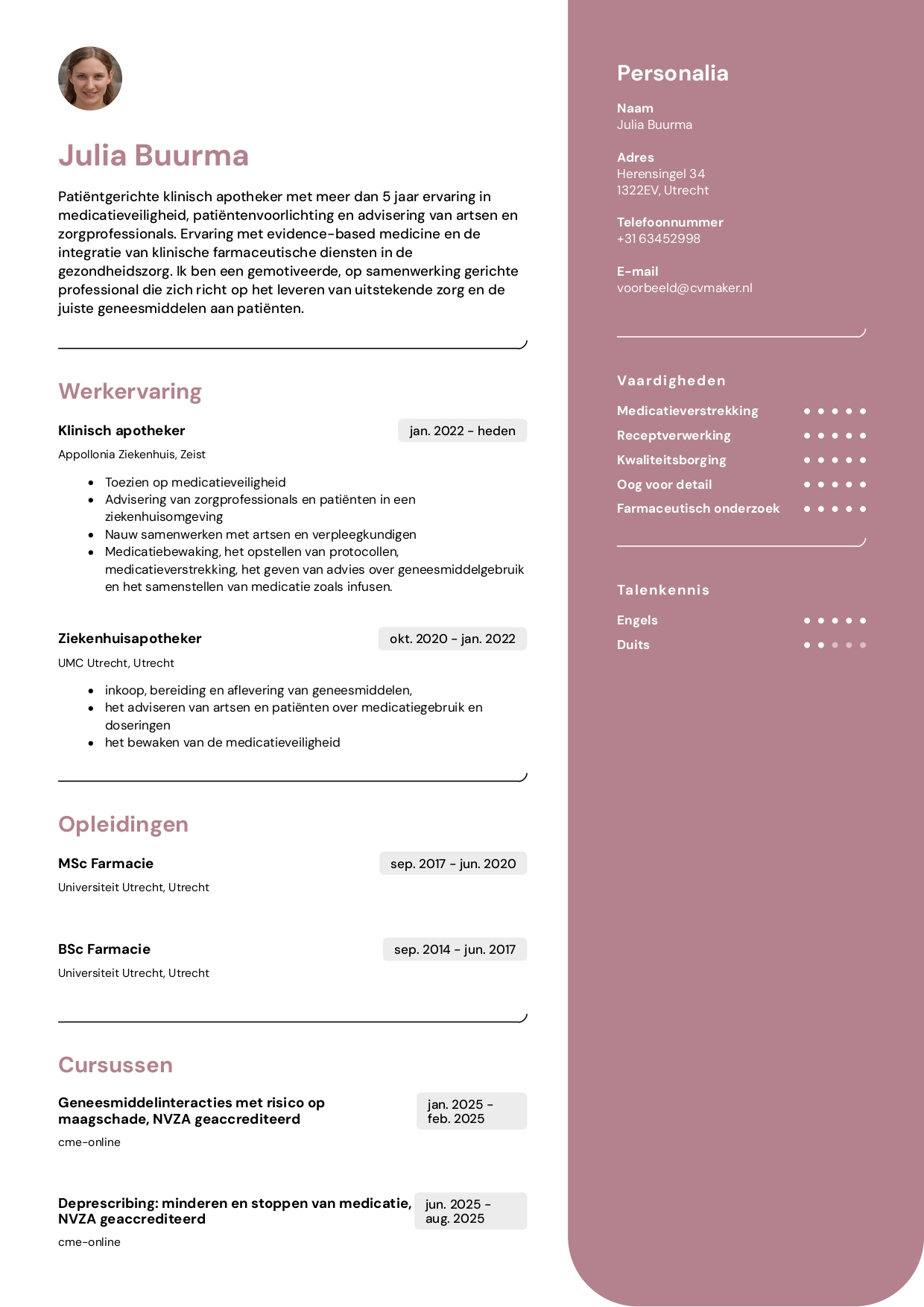 Paars cv voorbeeld