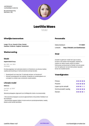 Modellen cv voorbeeld