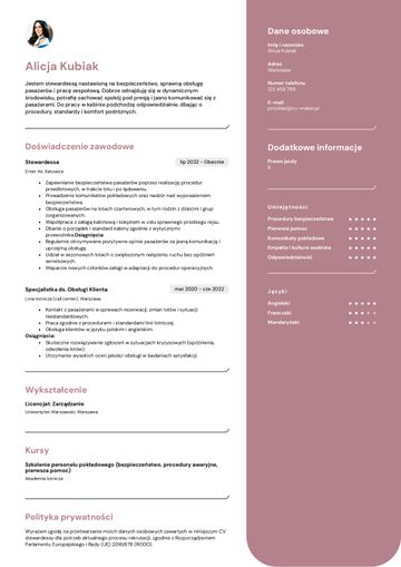 Cabin crew cv example