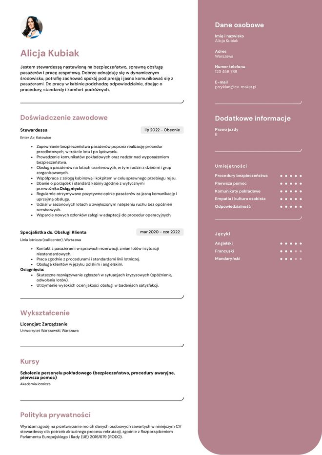 Cabin crew cv example