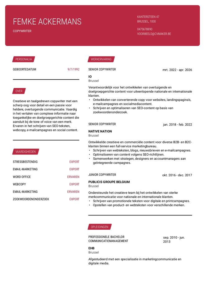 Chronologisch cv voorbeeld