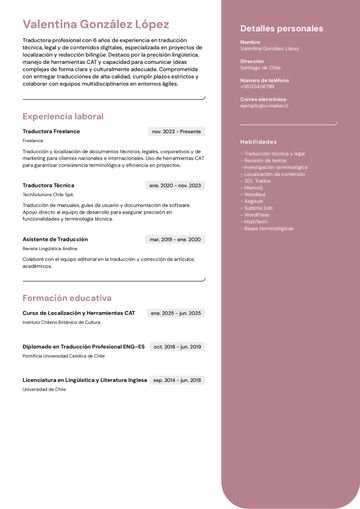 Traductor cv ejemplo