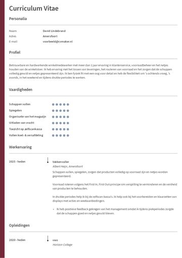 Cv voorbeeld vakkenvuller
