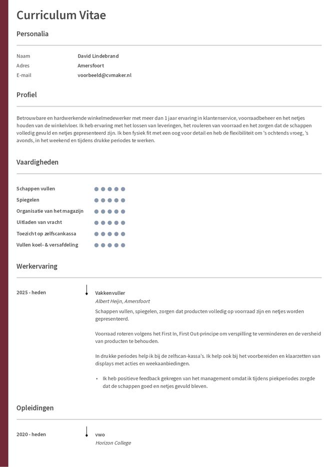 Cv voorbeeld vakkenvuller