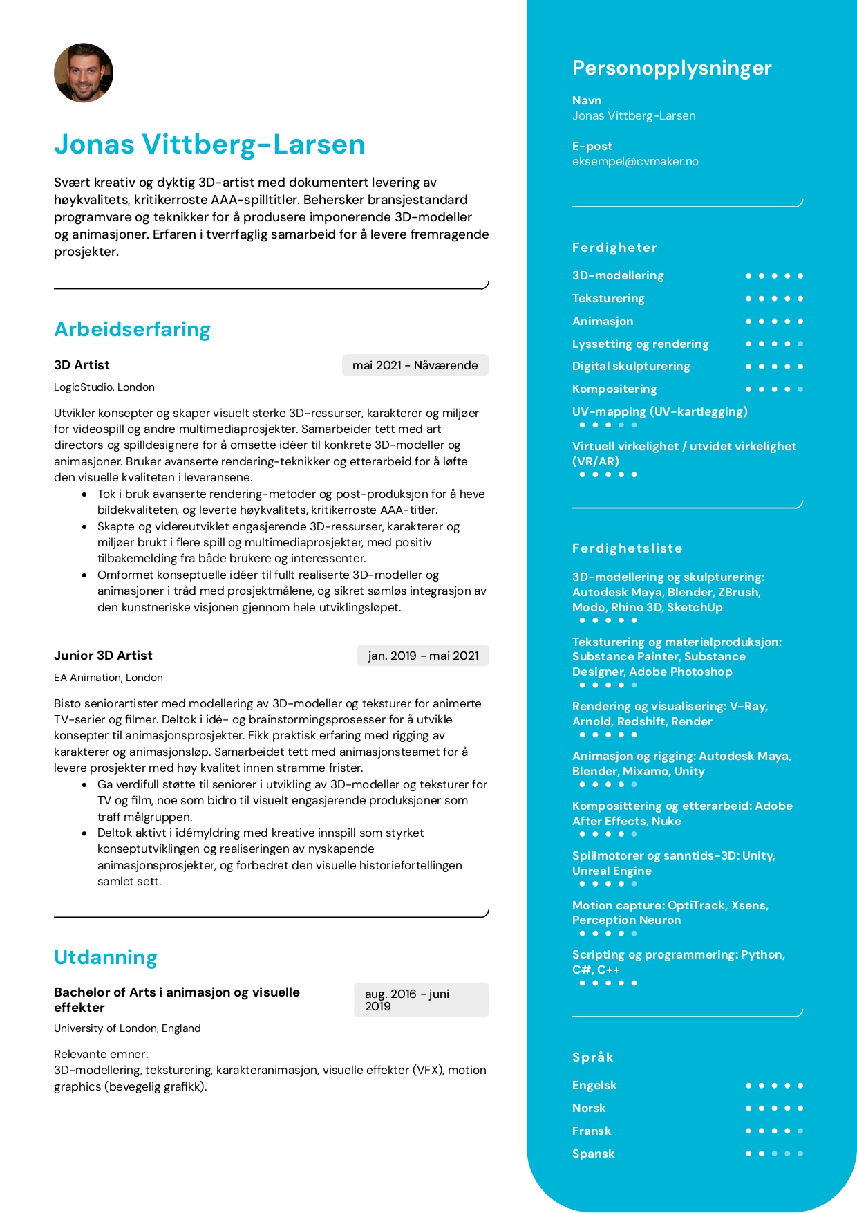 Kunstner cv eksempel