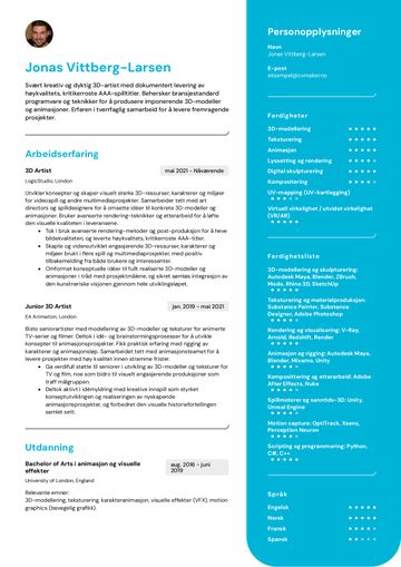 Kunstner cv eksempel