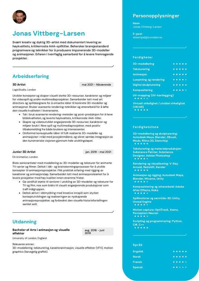 Kunstner cv eksempel