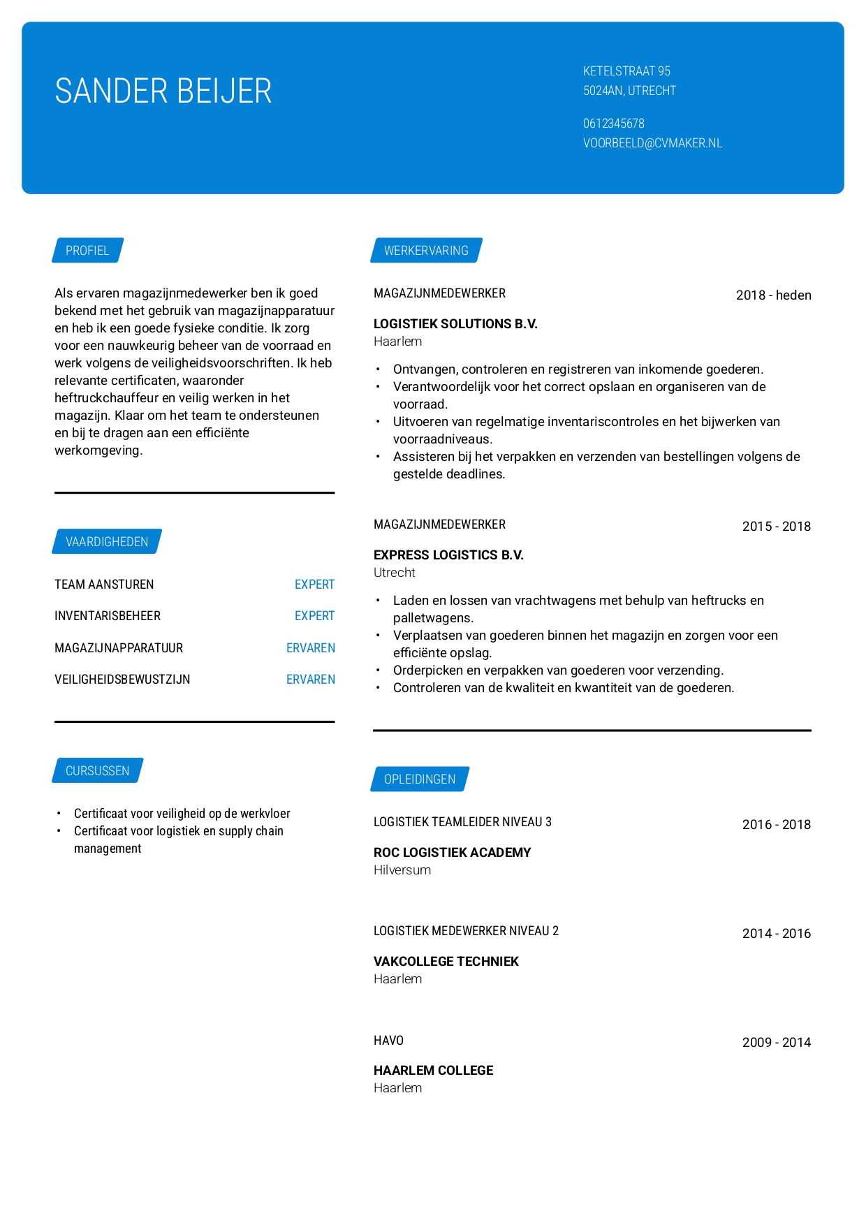 Blauwe cv voorbeeld