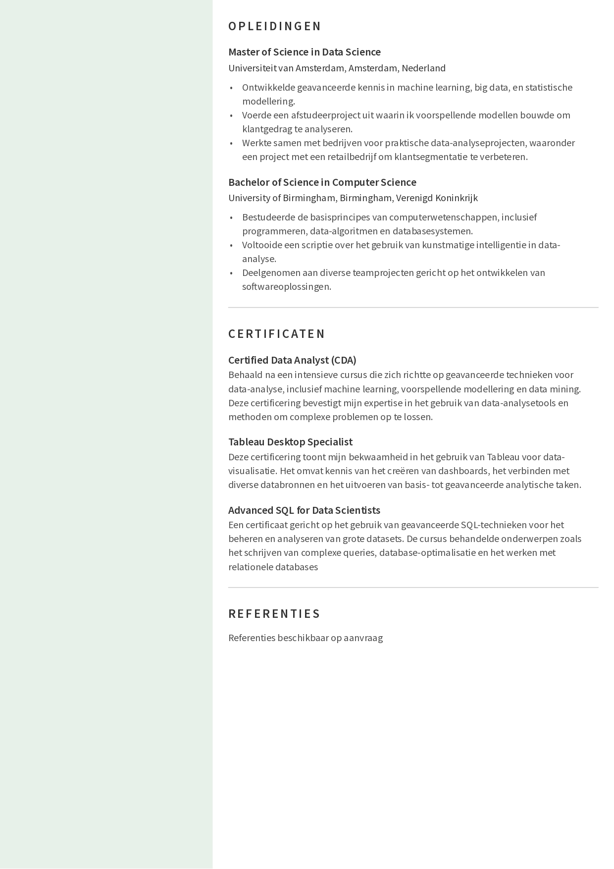 Data analist cv met computervaardigheden 2