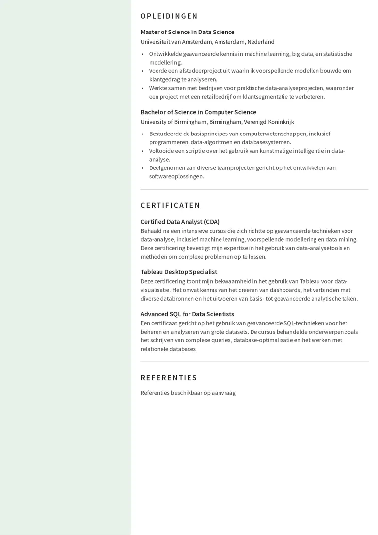 Data analist cv met computervaardigheden 2