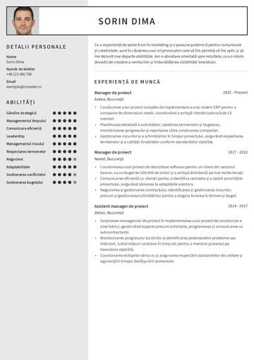 Exemplu de CV marketing