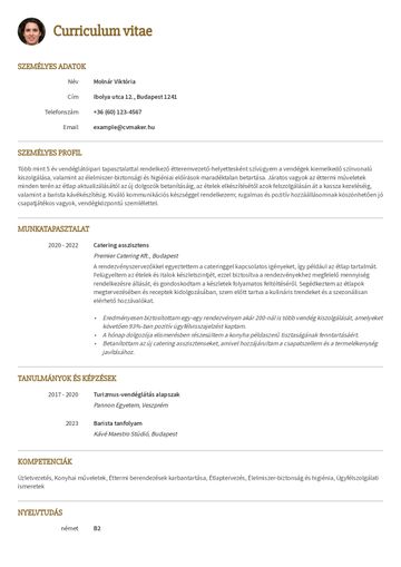 önéletrajz sablon princeton sárga